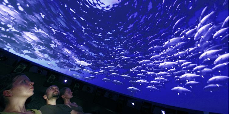VISCOM, Technologie, Immersive Dome, 06/14, Fraunhofer FIRST/Heyde 2009, 970/485 VISCOM, Technologie, Immersive Dome, 06/14
